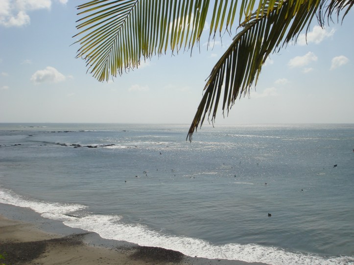 mar y hojas de palmera