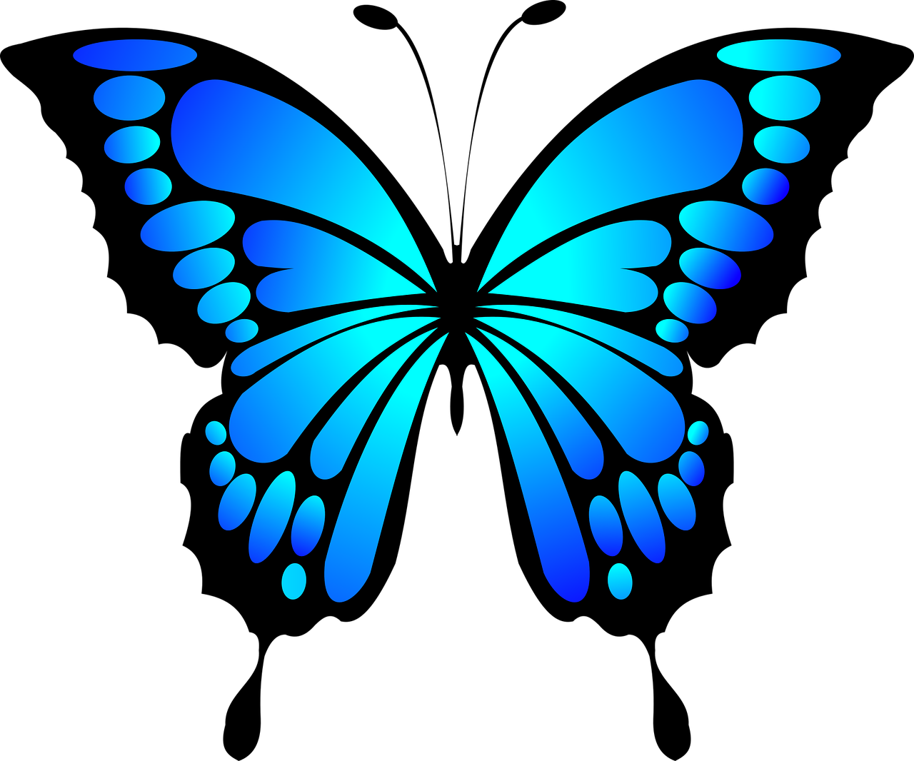butterfly-2028591_1280